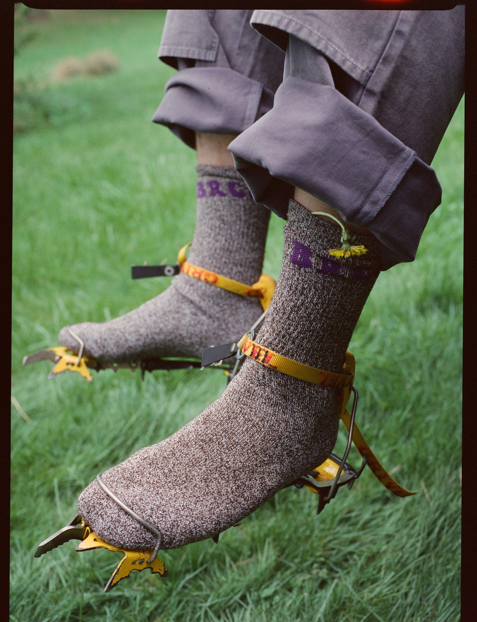 Big Rock Wool Sock Cinnamon Sugar