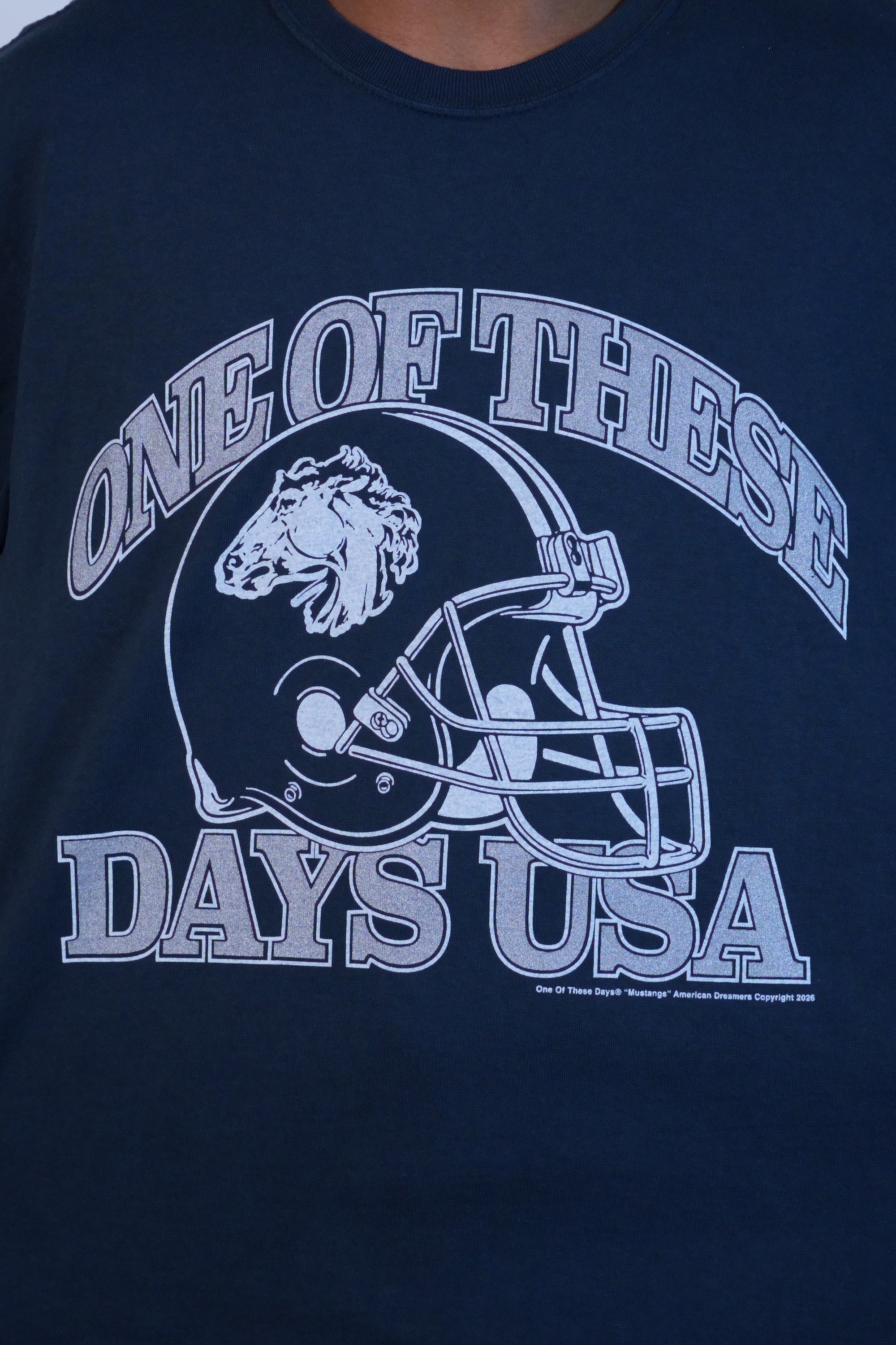 Days USA T-Shirt Washed Black