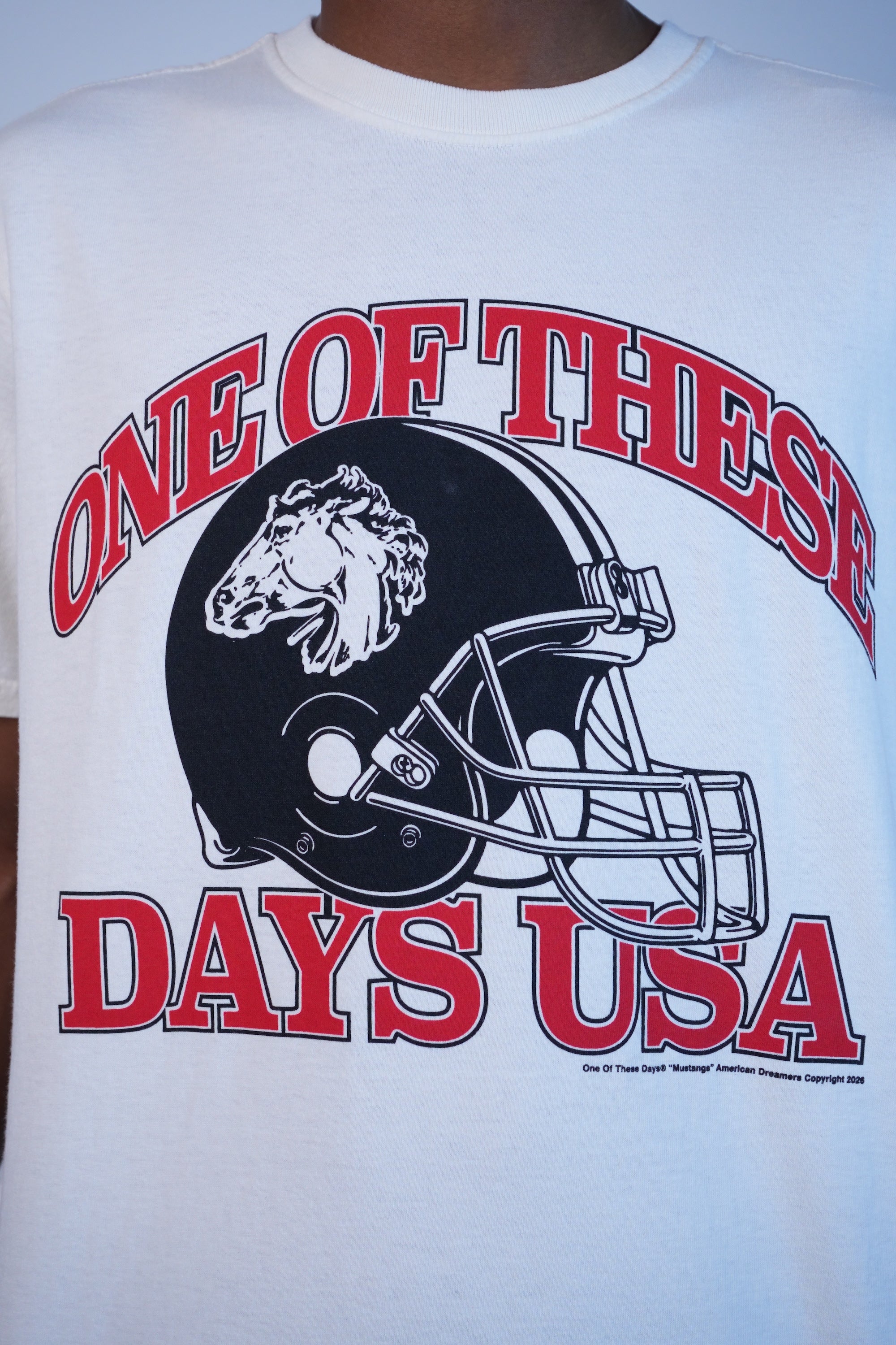 Days USA T-Shirt Bone