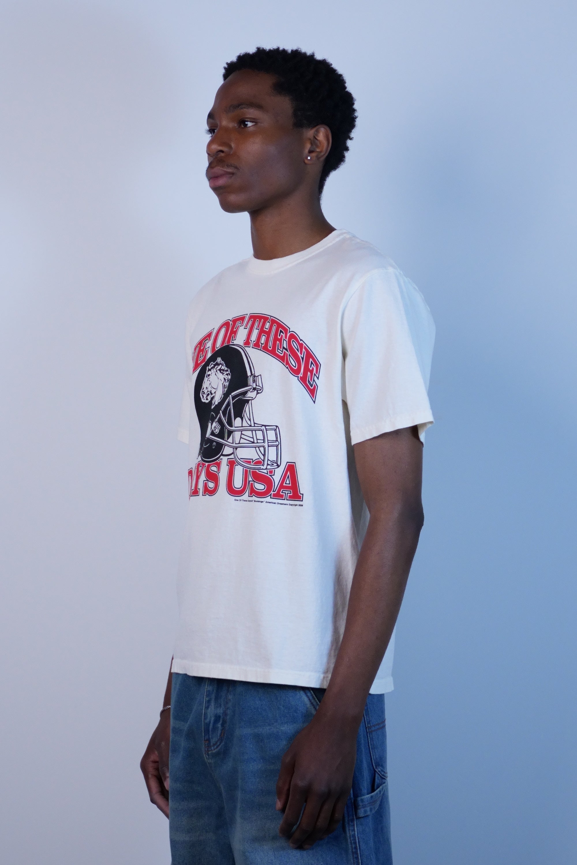Days USA T-Shirt Bone