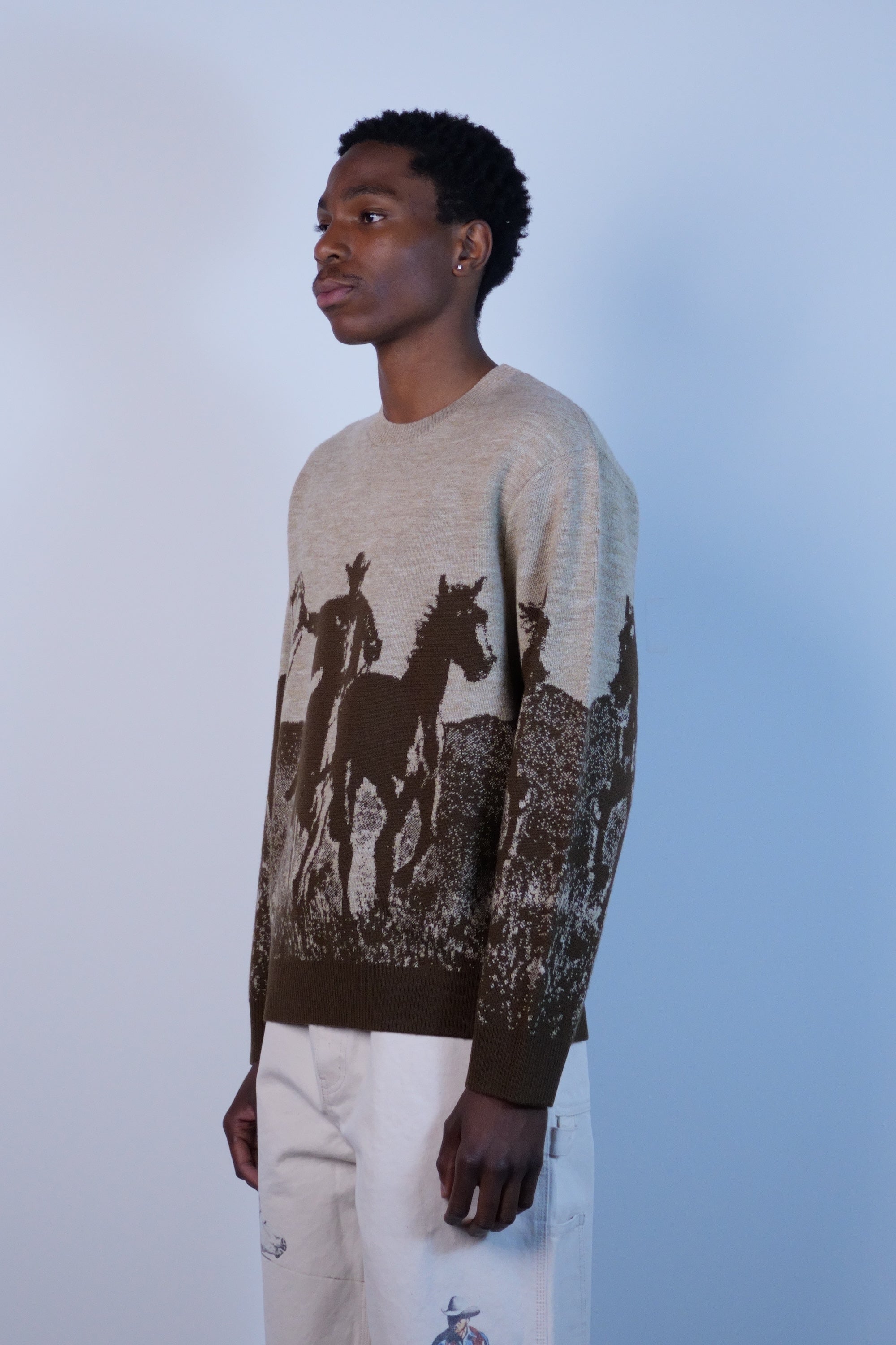 Spirit Of The Planes Knit Sweater Brown