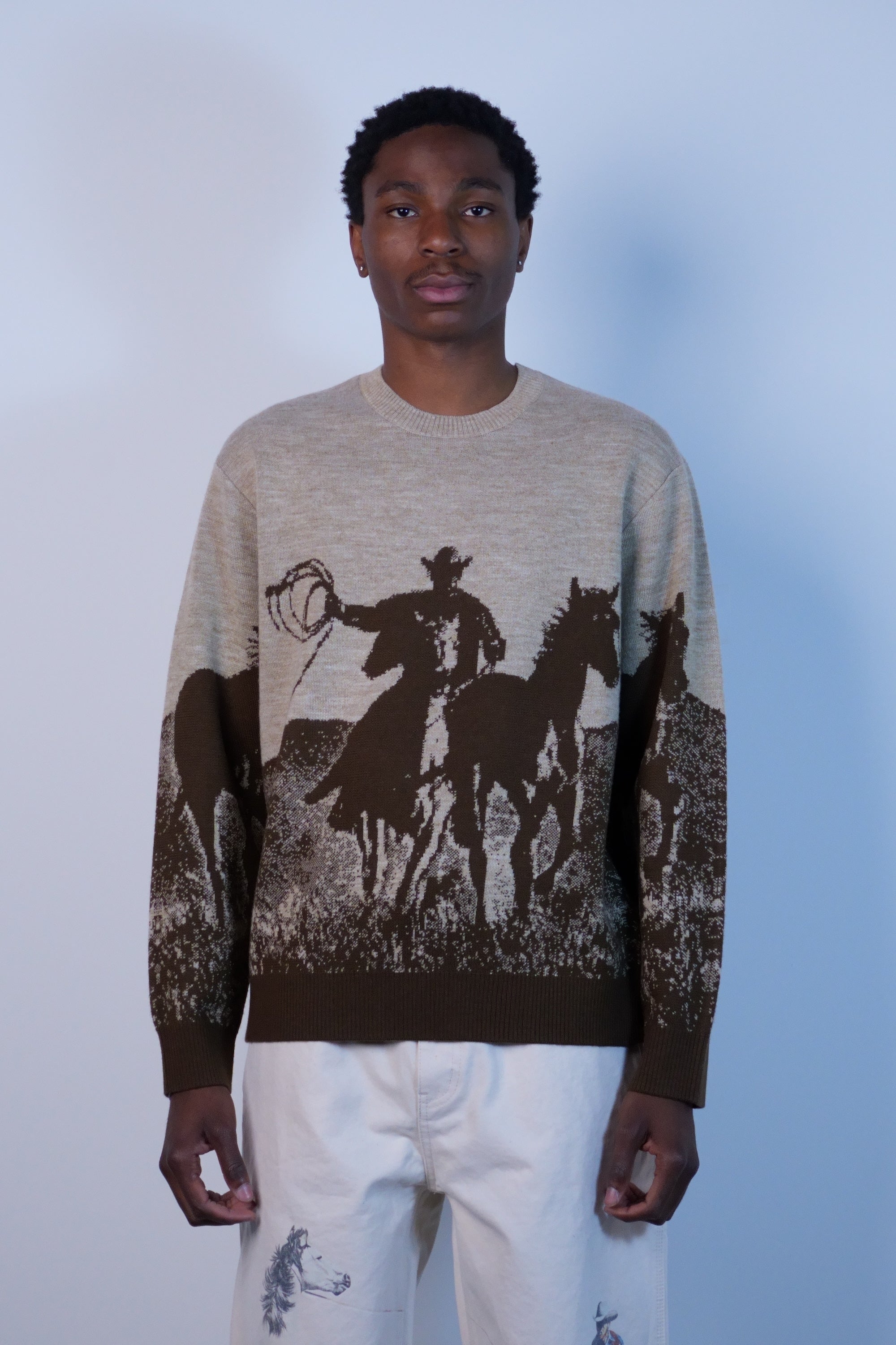 Spirit Of The Planes Knit Sweater Brown