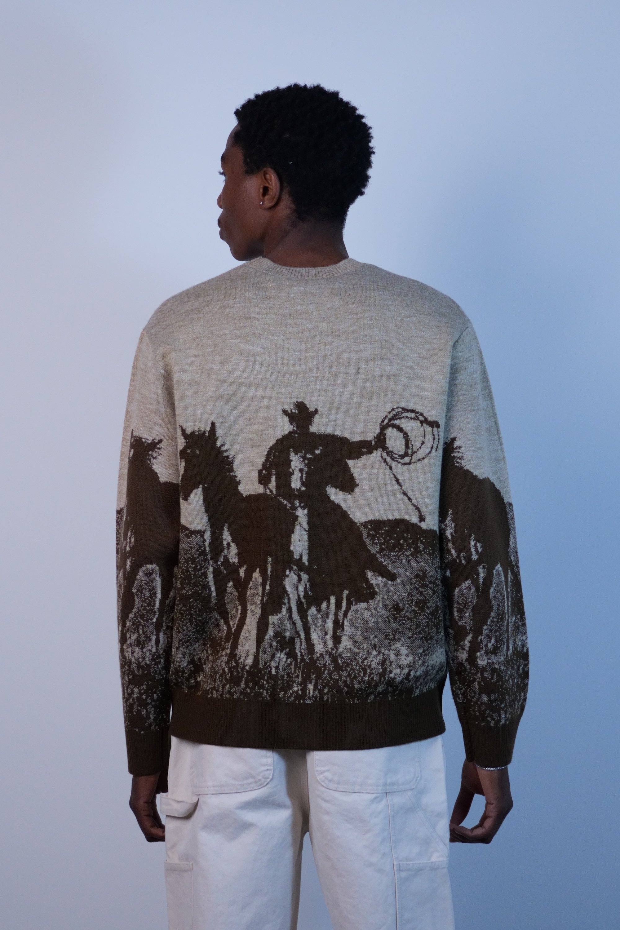 Spirit Of The Planes Knit Sweater Brown