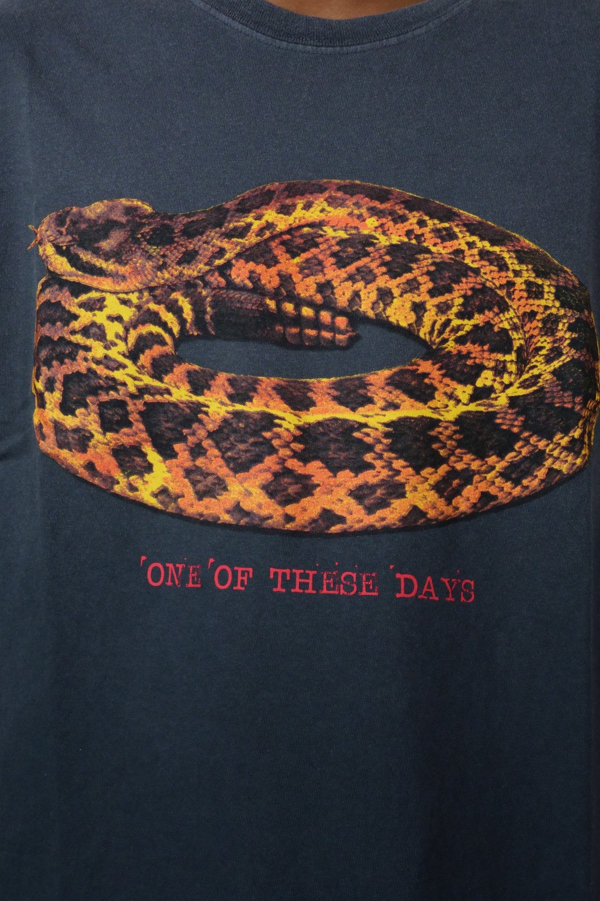 Rattler T-Shirt Sun Faded Black
