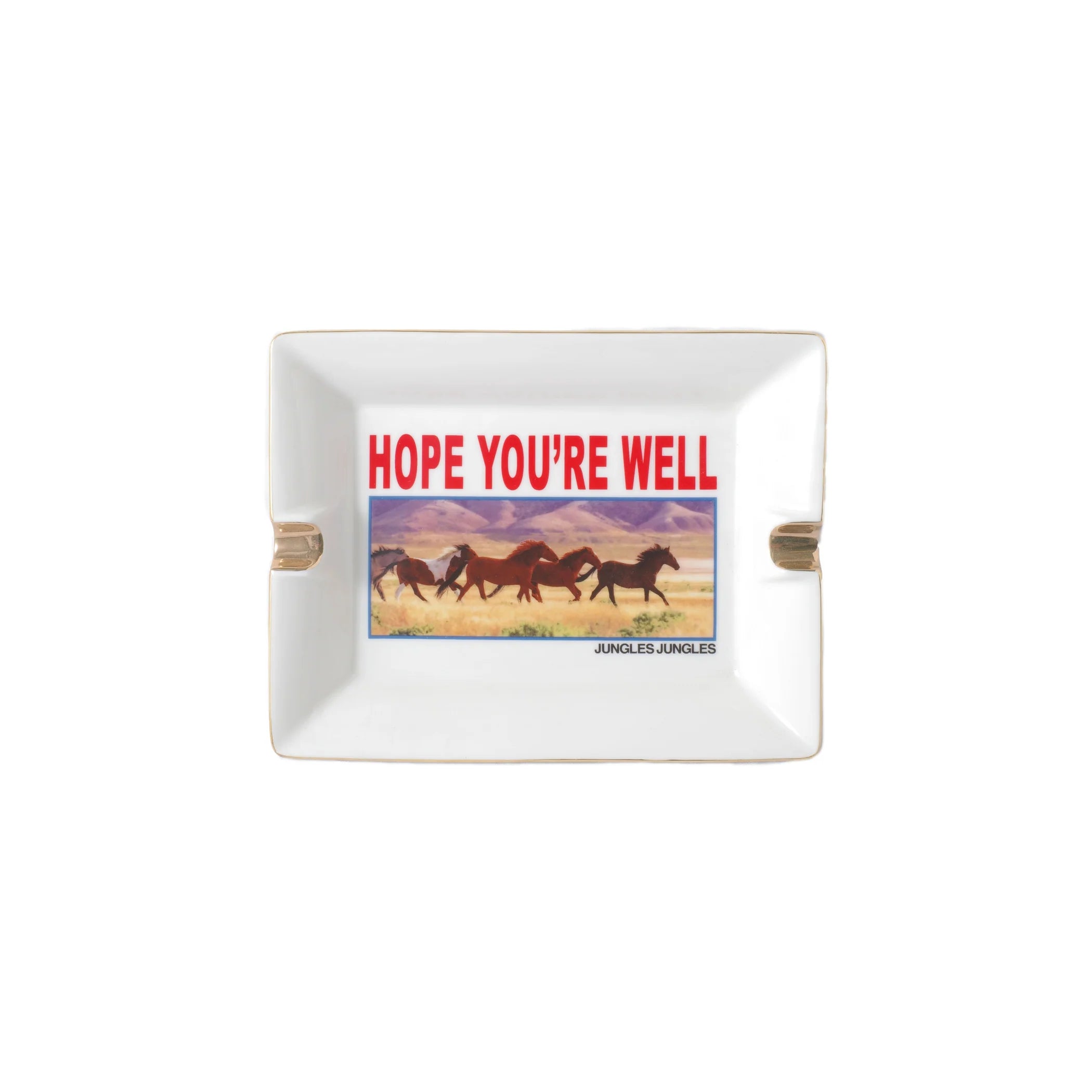 HOPE YOU'RE WELL ASHTRAY
