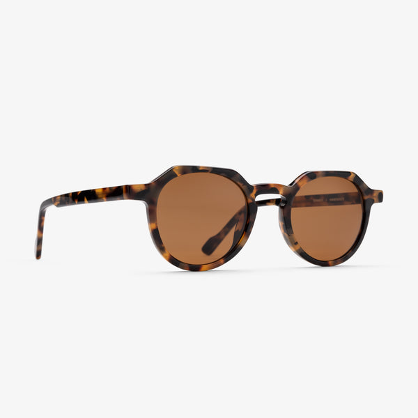 Waimea Tortoise/Brown