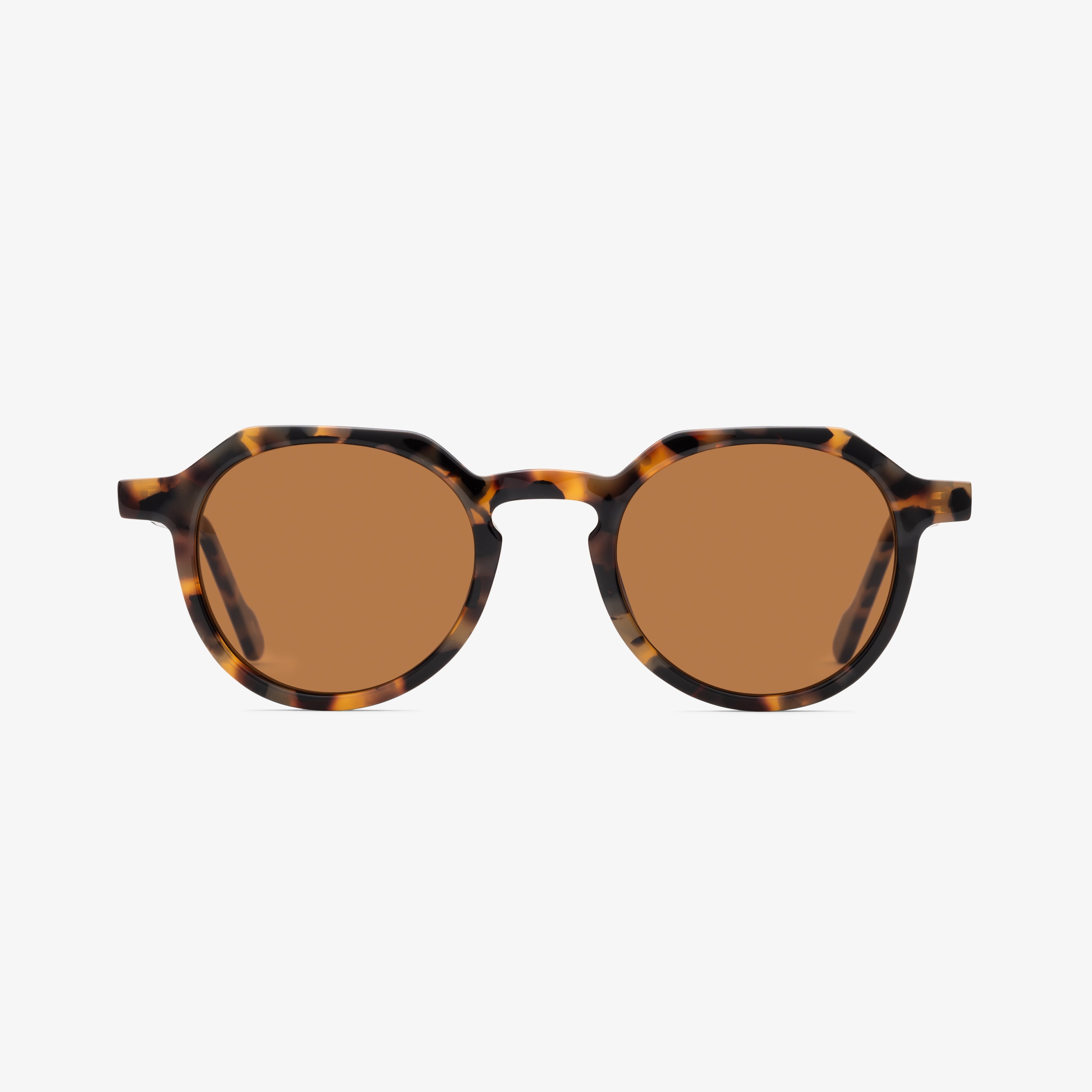 Waimea Tortoise/Brown
