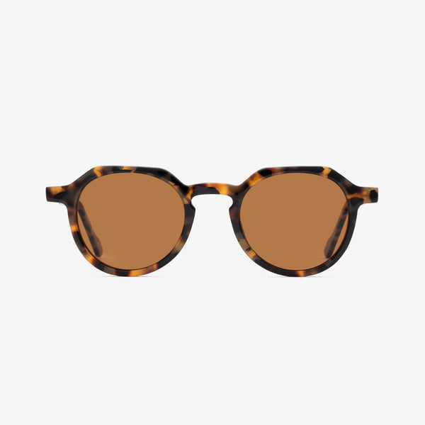 Waimea Tortoise/Brown