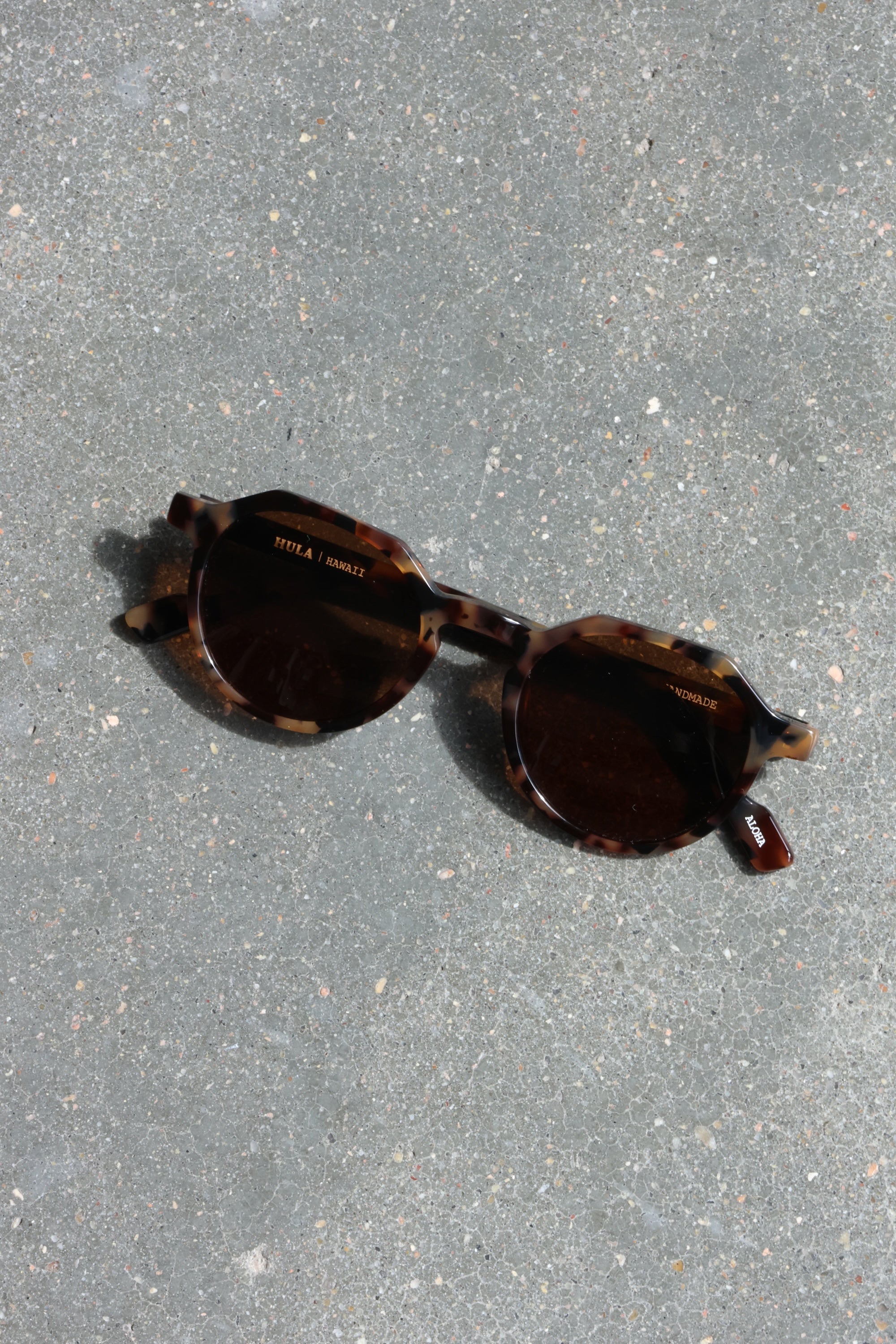 Waimea Tortoise/Brown