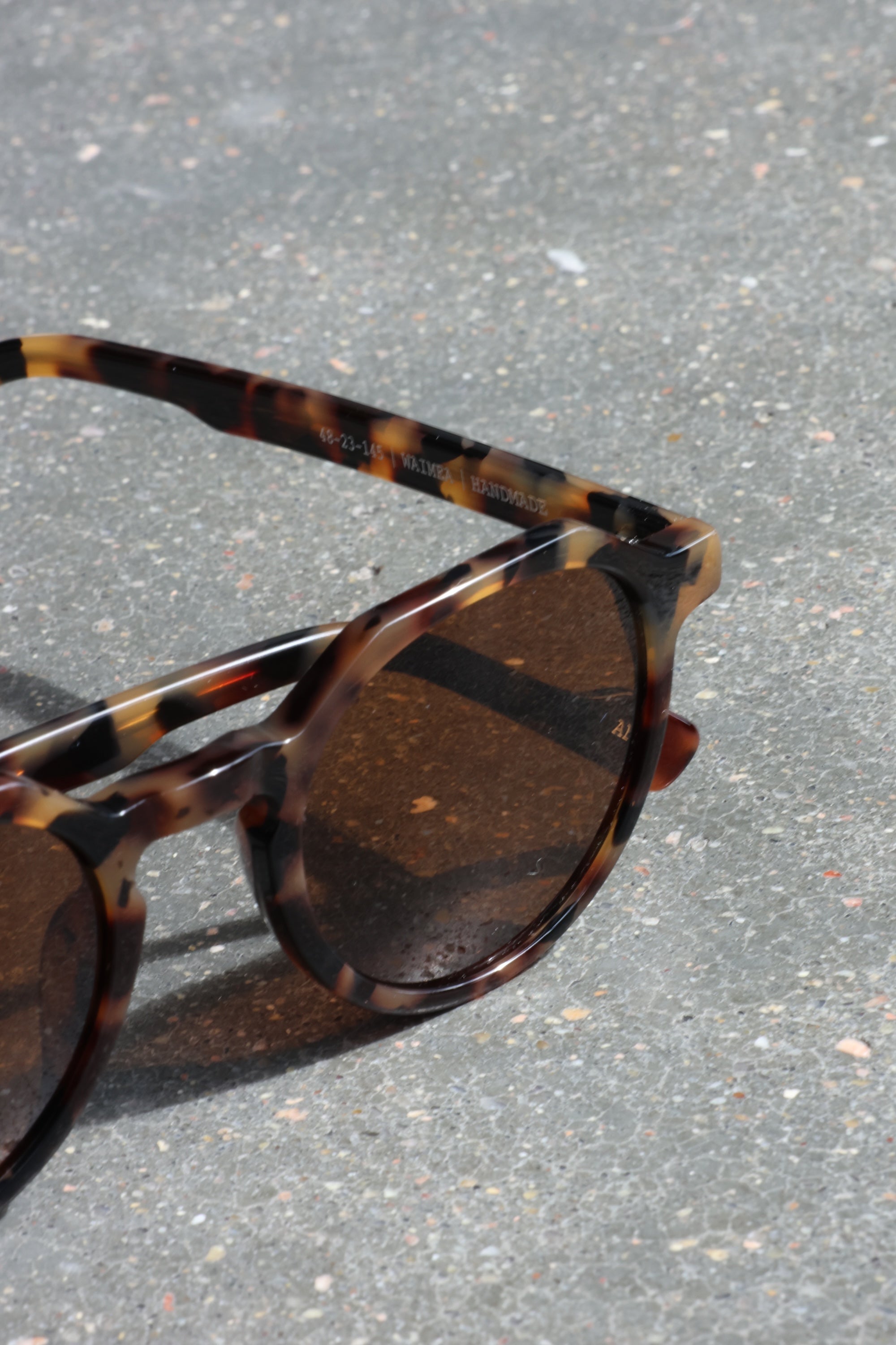 Waimea Tortoise/Brown