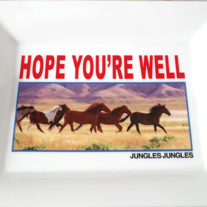 HOPE YOU'RE WELL ASHTRAY