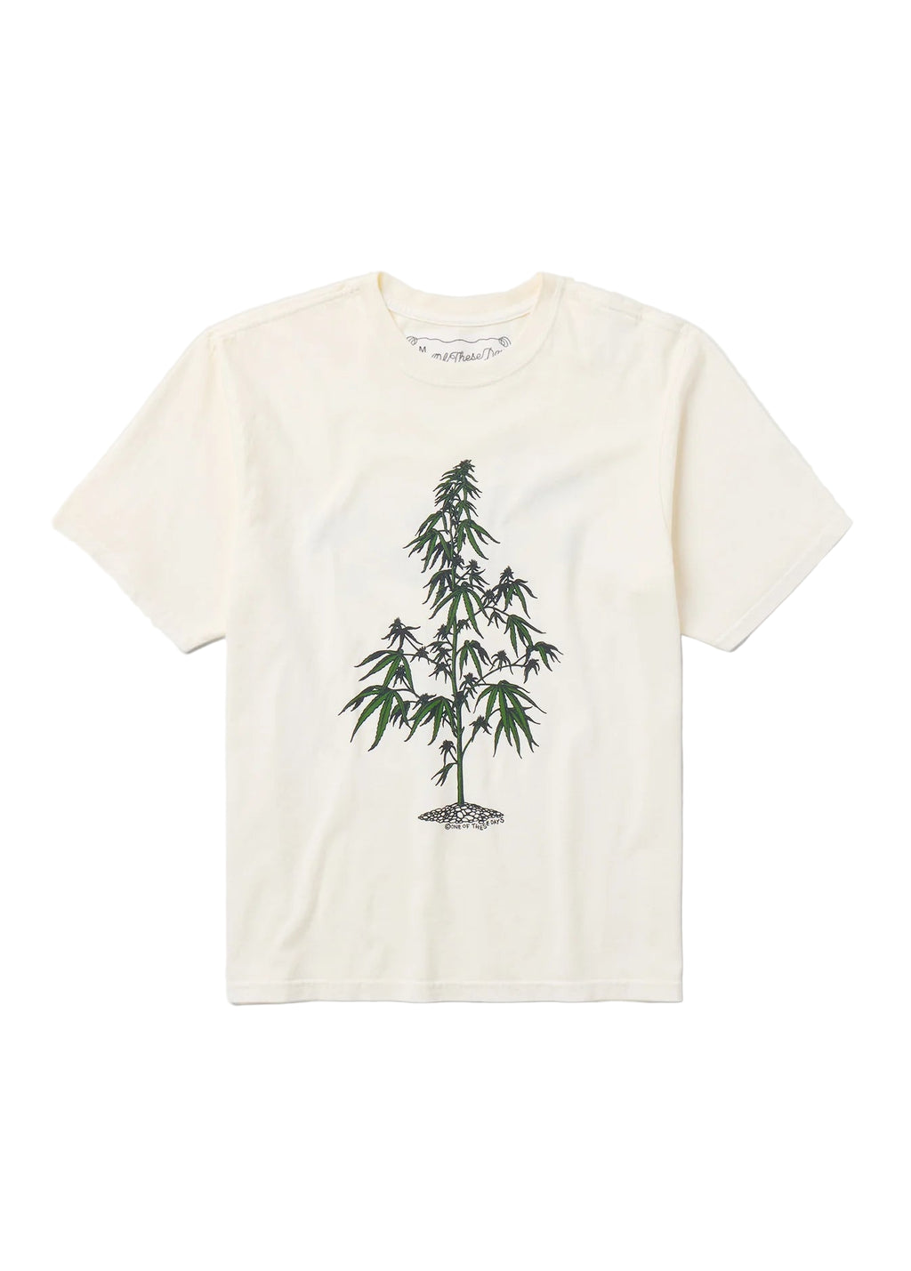 Away Go Trouble T-Shirt Bone