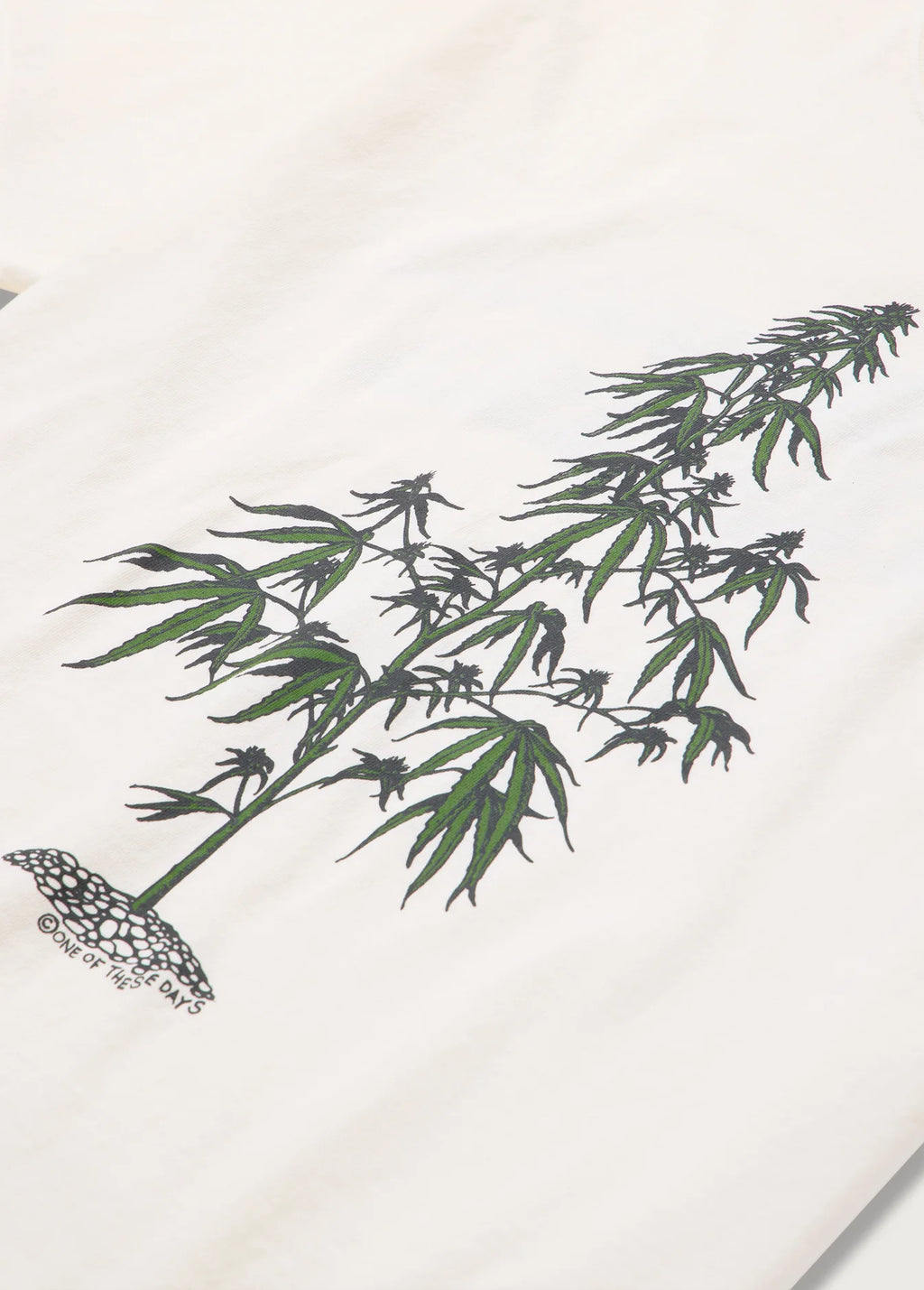 Away Go Trouble T-Shirt Bone