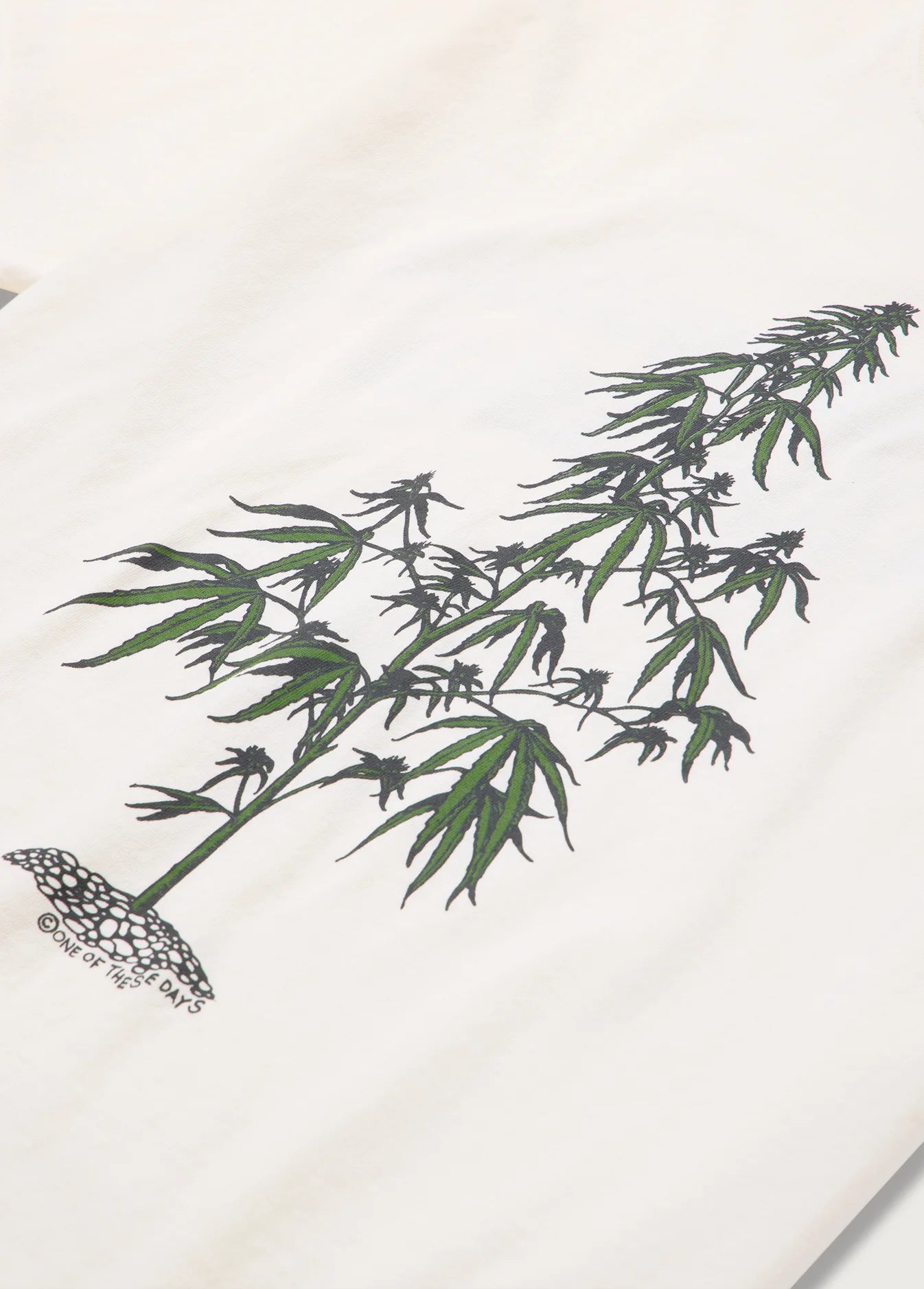 Away Go Trouble T-Shirt Bone