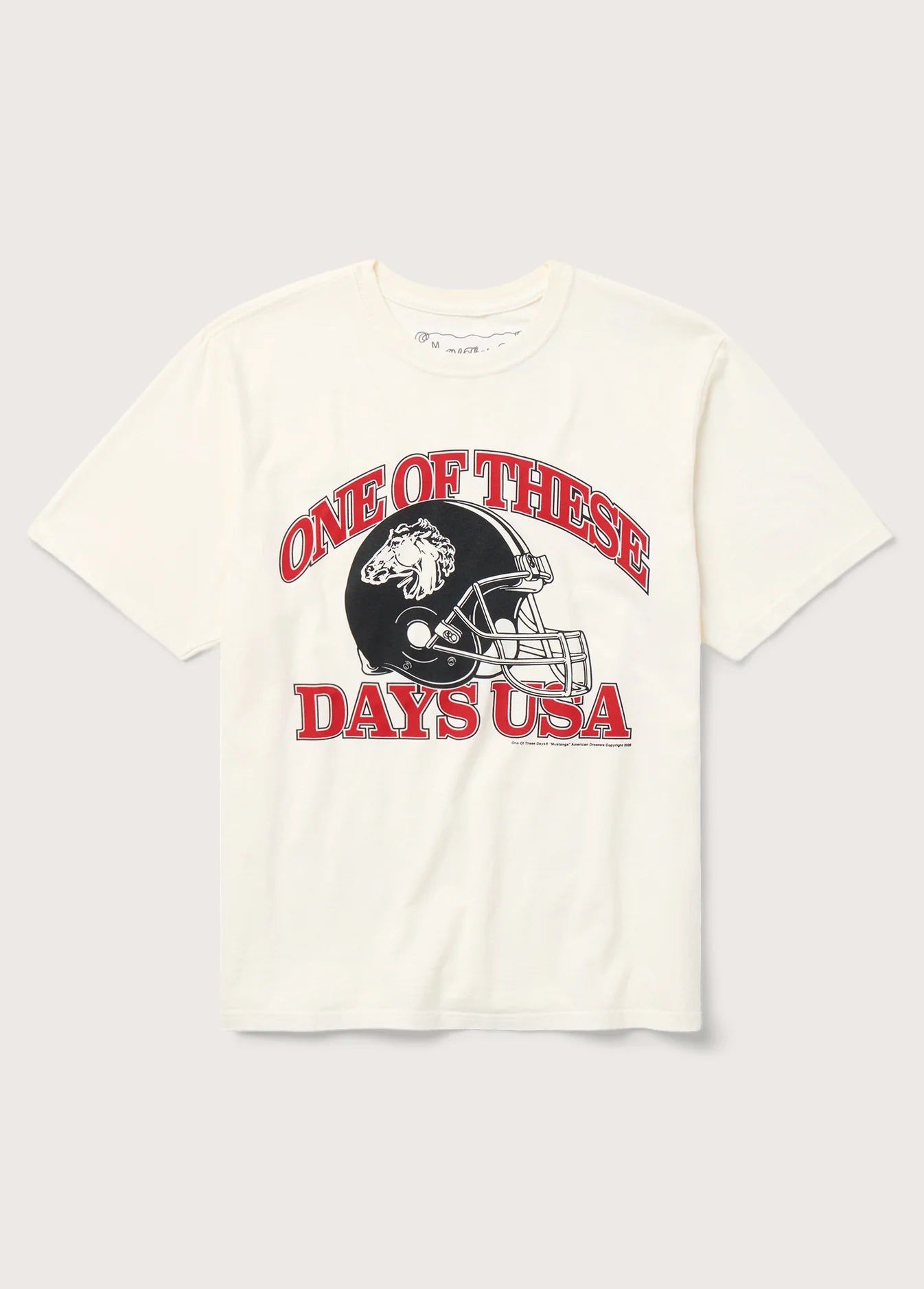 DAYS USA TSHIRT BONE