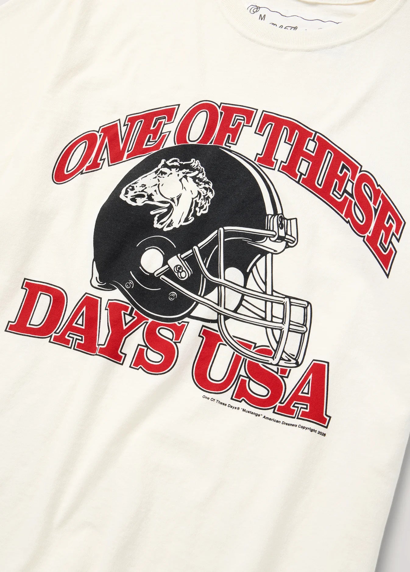 DAYS USA TSHIRT BONE