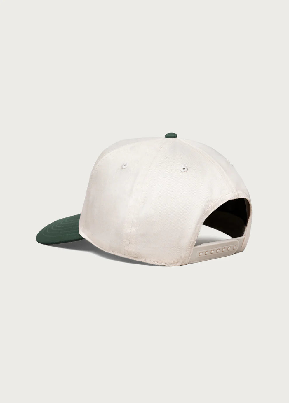 Just For A Moment 5 Panel Hat - Natural/Green